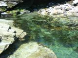TalaThumb0061.jpg