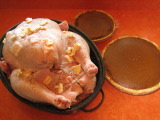 TalaThumb0008.jpg