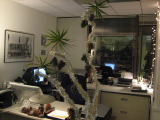 TalaThumb0023.jpg