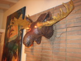 TalaThumb0025.jpg