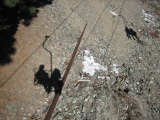 TalaThumb0039.jpg