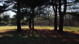 TalaThumb0021.jpg