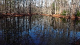 TalaThumb0023.jpg