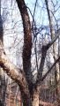 TalaThumb0024.jpg