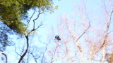 TalaThumb0028.jpg