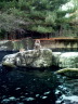 TalaThumb0066.jpg