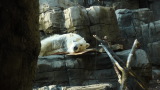 TalaThumb0067.jpg