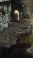TalaThumb0068.jpg