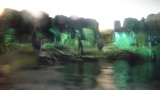 TalaThumb0071.jpg