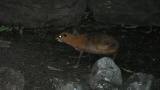 TalaThumb0072.jpg