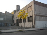 TalaThumb0042.jpg
