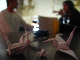 TalaThumb0049.jpg