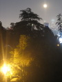 TalaThumb0101.jpg