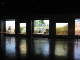 TalaThumb0102.jpg