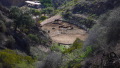 TalaThumb0005.jpg
