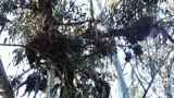 TalaThumb0014.jpg
