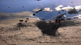 TalaThumb0015.jpg