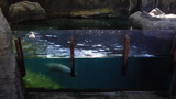TalaThumb0020.jpg