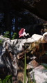 TalaThumb0021.jpg