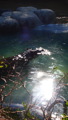 TalaThumb0023.jpg