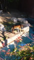 TalaThumb0025.jpg