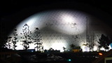 TalaThumb0059.jpg