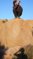 TalaThumb0018.jpg