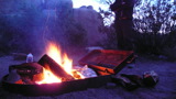 TalaThumb0019.jpg