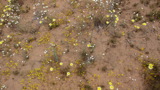 TalaThumb0020.jpg