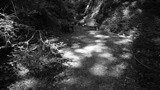 TalaThumb0026.jpg