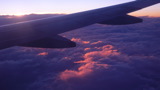 TalaThumb0050.jpg