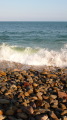 TalaThumb0074.jpg