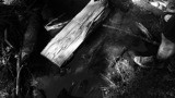 TalaThumb0081.jpg