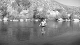 TalaThumb0086.jpg