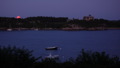TalaThumb0102.jpg