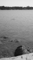 TalaThumb0105.jpg
