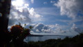 TalaThumb0115.jpg