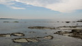TalaThumb0130.jpg