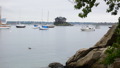 TalaThumb0133.jpg