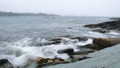 TalaThumb0142.jpg