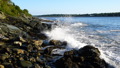 TalaThumb0143.jpg