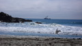 TalaThumb0171.jpg