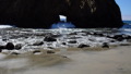 TalaThumb0172.jpg