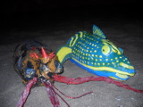 TalaThumb0022.jpg