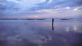 TalaThumb0024.jpg