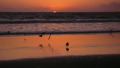 TalaThumb0027.jpg