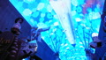 TalaThumb0050.jpg