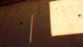 TalaThumb0116.jpg