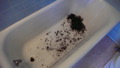 TalaThumb0135.jpg