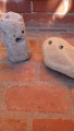 TalaThumb0003.jpg